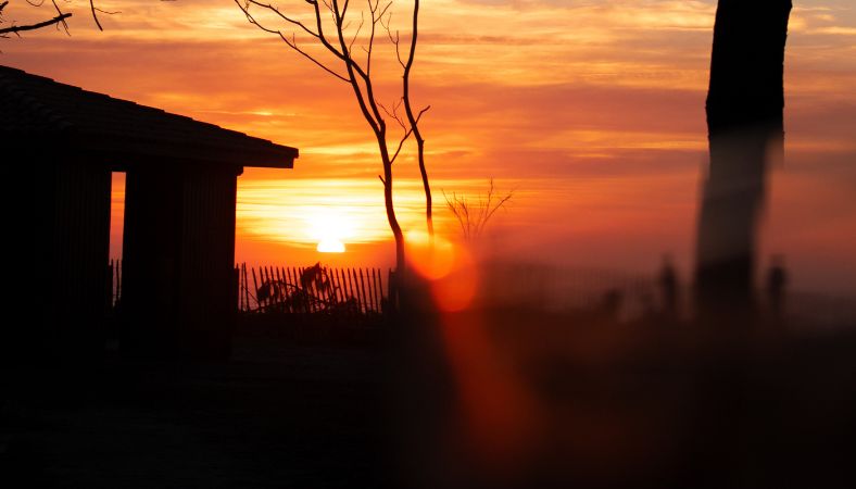 Chipirons, chorizo, piquillos