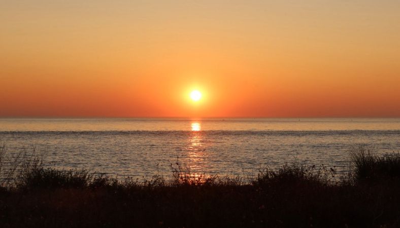 Chipirons, chorizo, piquillos